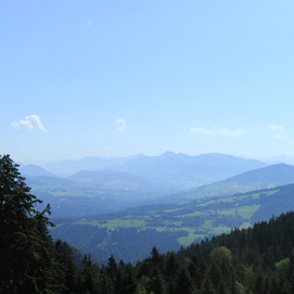 Pfänder 2011