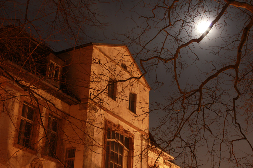 Friedrichshagener Geisterhaus im Mondschein